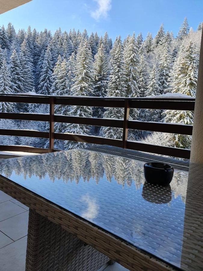 Apartament Ozon Poiana Brașov Exterior foto